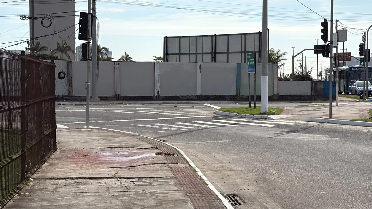 Cavalo é resgatado em estado grave após acidente em Vila Velha