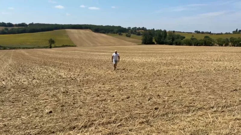 La production agricole française devrait chuter de 8%: Bercy estime que les canicules et la sécheresse de l'été coûteront 0,1 point de PIB en 2026