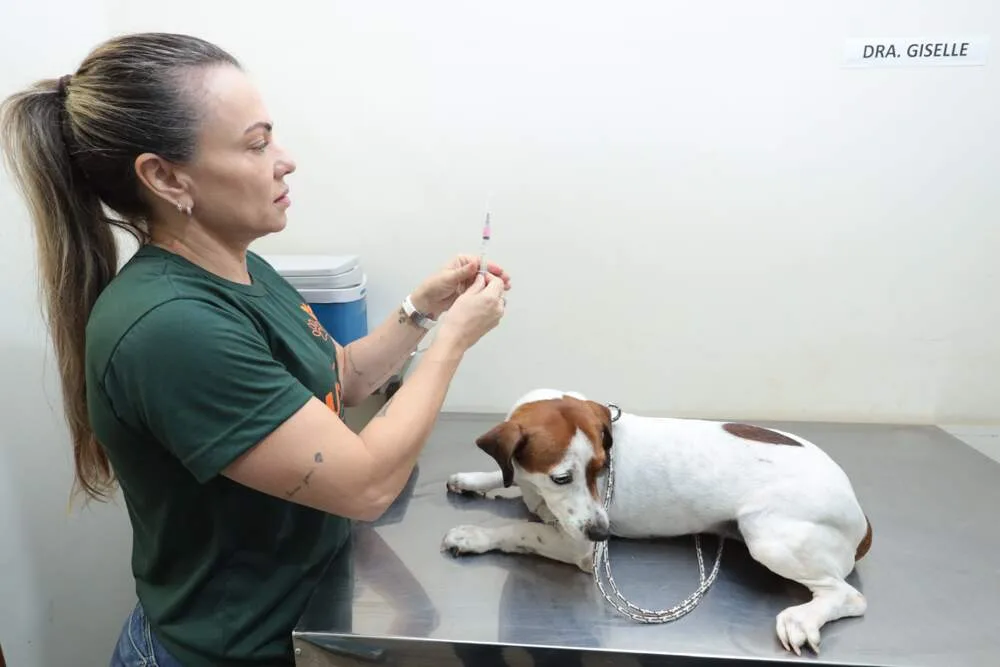 Consultório Móvel oferece atendimento gratuito para cães e gatos no Aeroporto