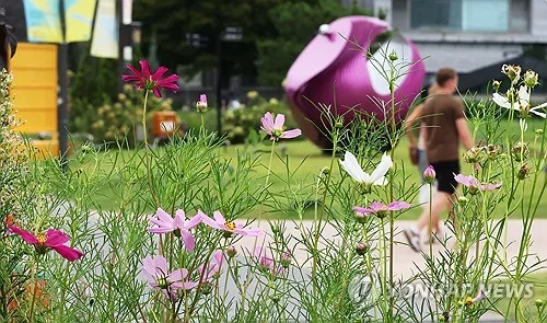 남부·제주 늦더위 막바지 기승…체감 최고 33도 안팎
