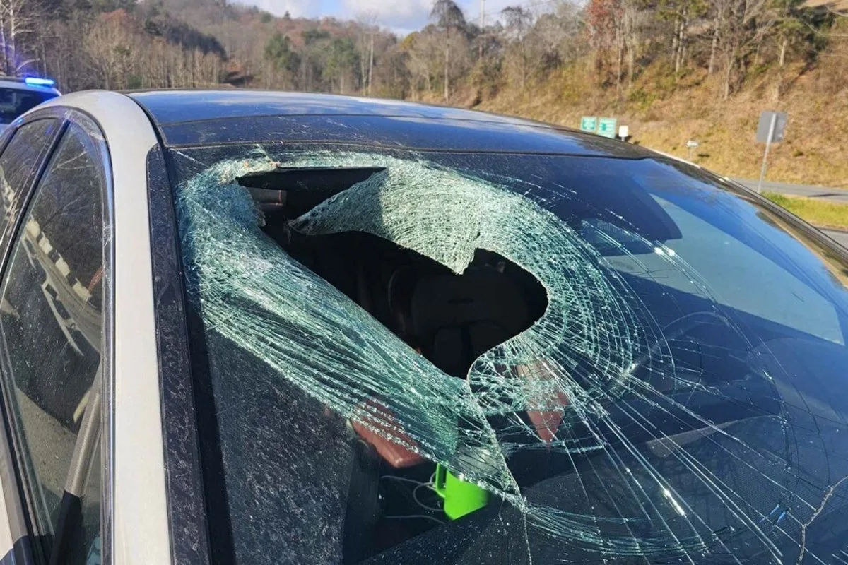 Suspect arrested after smashing 81 car windshields in Virginia parking lot